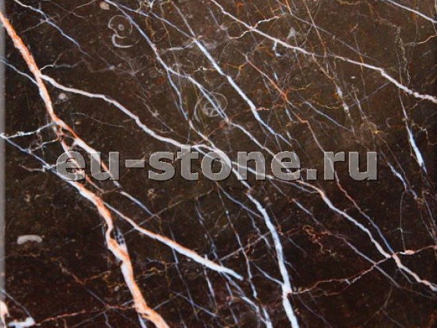 Порторо Браун