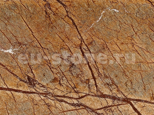 Бидасар голд