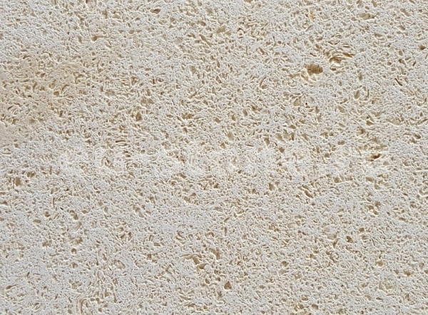 Ракушечник молочный